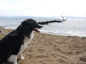 44a3e70576511837bd3051932bdc779b