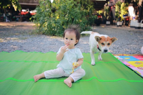 03f38c87300fd86904d27ecd1a1ab6c9