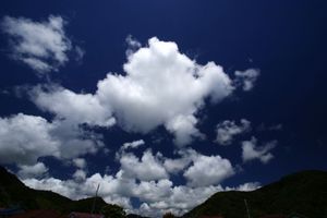 201c599f554ec288947a93dfd232cf62