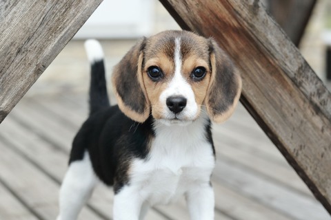 Fa6788a322ee2637564191a531bde7dd