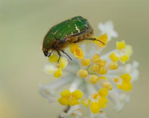 F4513ca8129d710e7f6cd2ce680e0c84