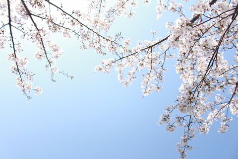 D7d3d3fb66d54cf7b1ff6dfd2b9fa94e