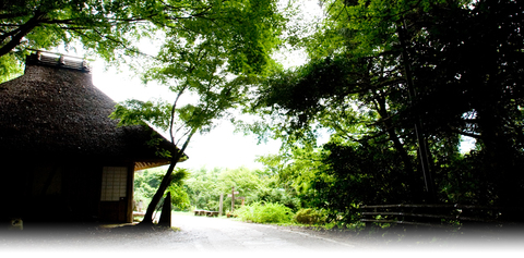 2df437ffc061bfecef6ed722e4fce559