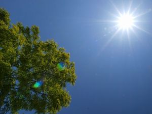 C0cccd8d06ecc2730f6cafa995833a7b