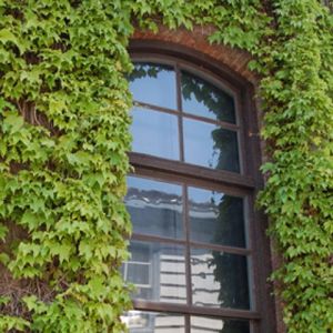 Fc1228b61d620ece7ba827cec3131ca4