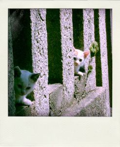 Aa5fc306d2f00e600d0a4b71629b801c