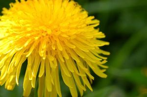 Ff8d0632918a8b78dd633a5f13fdba64