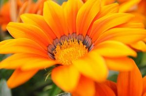 53ab5fa344f4aef57d76150b7fd4ff91