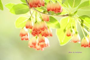 2f3d4af8b9c2f9fa3fac88d61359be5a