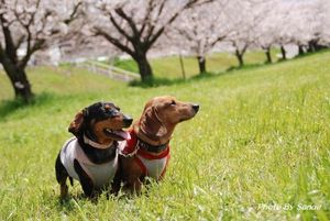 C4662d2bd9af103b60ed53d017ae2eef