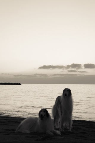 Bdbb7328322d0efbef38e395ed37a439