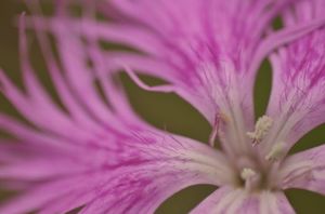 F08eab5e228518aabccb133cd9323e8a