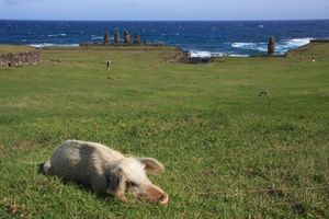 Aac87d3820d31ea1fb307f745d60e37b