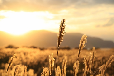 6769ea0334de0e402c070671fad6d0d8