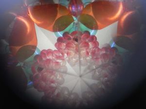 07e7fc309e6d4766b0cb55dac6d86fe6