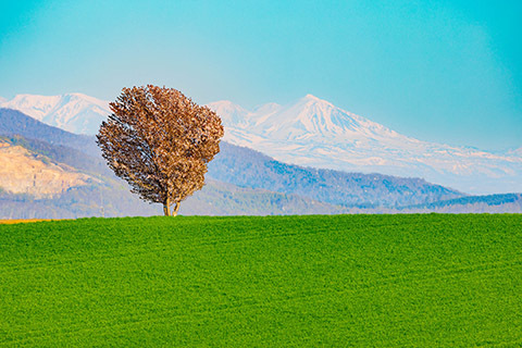 Bb0d38b48c60f817ae30a05c3ae4aa37