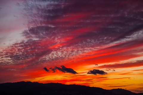 A5f7c82bae4c2282c8dc0af68305510c