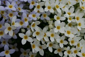 26dccac4f02a760cebb73844c285ffbd