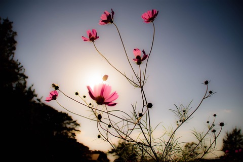 D23543b62c8f394a5c0026999c5c3f40