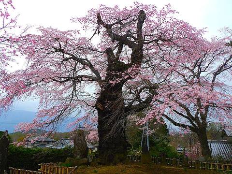 3464a6ce7f817b06b4fd21f2c18d814e