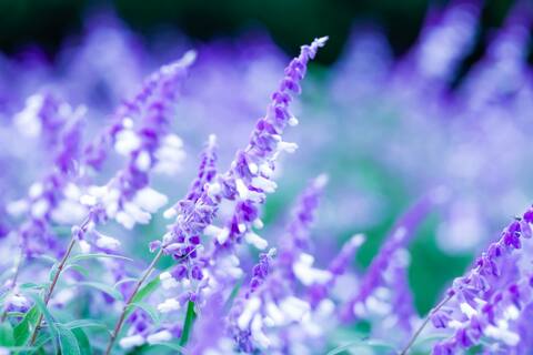 53c0a1165974210630cea9d6ad615dfd