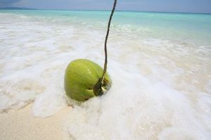 0e7c817b602bae5a4e8fbb269bd7d2da