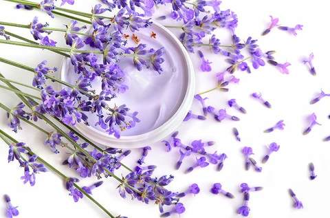 4dd2a1ca2fdb87eacea485205b6c2b70