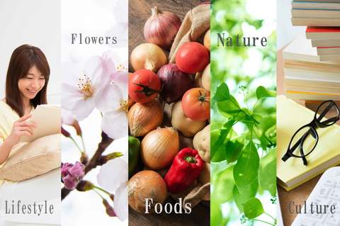 82a36ef1ae18173759df8cc7cb36b54c