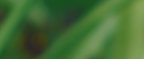 F77dee41337b31ac0b13b55b45102cd0