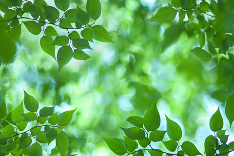 Fefd1f707d505bde0c935cc87b7a8614