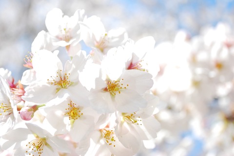 6aeee3c13635cc5c623192ef6a62375e