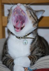 Ae7134e091f722e78778aa7278836c10