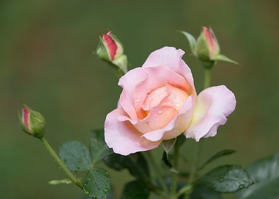 8a4bc64e32461ec8829cc3f889060c7c