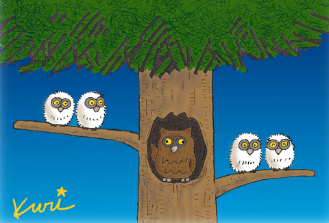 A14d5bafc11541485da6b563b4dcb069