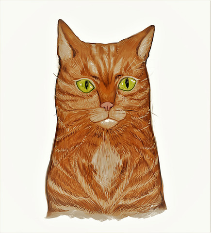 D73dc72a955a73a2d4666c7935cb1170