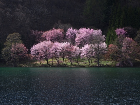 688bd09701ad5912decda8690799ed7e