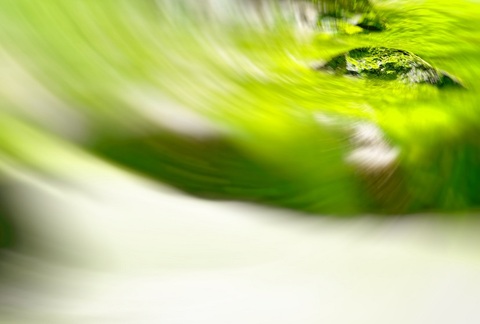 2e8a6710cc5120d07fb96dacf472def5