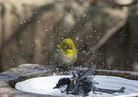 E0ecde4f7a8c12105cc14ce21d686f8e