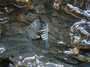 3b3646dca23586f6a422168345ac2a06