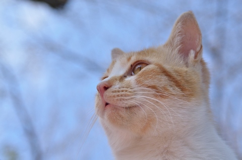 4dce22228910cc55d63f2f7656771a24