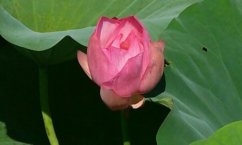 B423d7c71796557a2dda1dc32d9a84b2