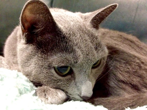 870658fc5e666802d2a42e6f5cb6900e