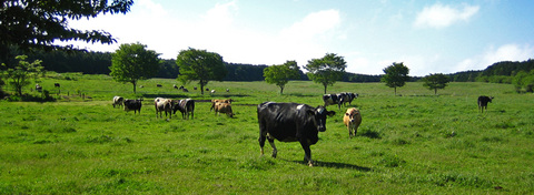 46492277c82983dc7e8d4e8701918d52