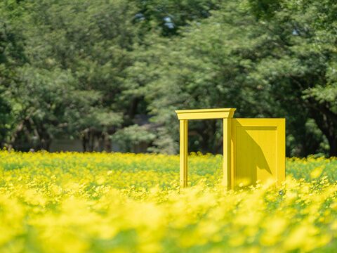 163caabf2d22ff6fc193cc950eae73d2