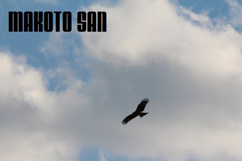 Ff38ff63dbc692d52dac099c0d909029