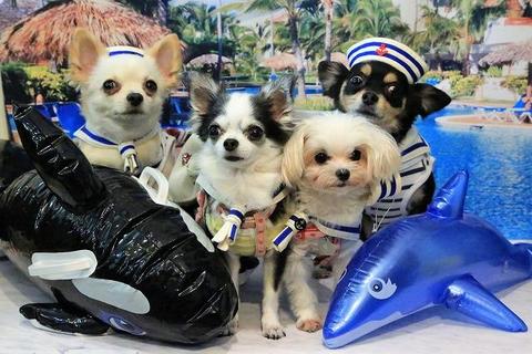 2bbb56f88137eebcca3267483a45ecfa