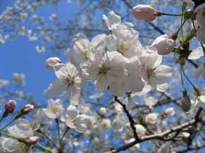 D48964f468b8fd41165b4ec9350c89c9