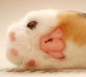 E13be2c6b7cbe53e886856b0faafb535