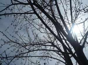 B99d06819afb44970aee73ccdd8a9a89