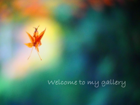 2667f16cff2224b900000b8c357e5232